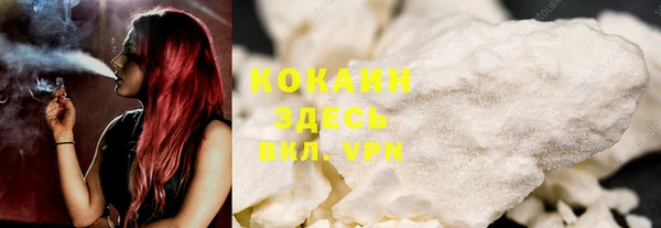 молекула духа Гусиноозёрск