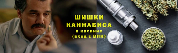 молекула духа Гусиноозёрск