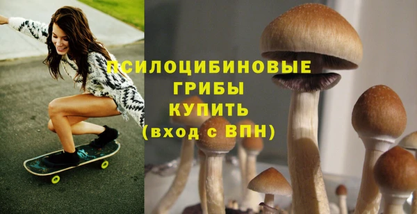 мяу мяу мука Гусев