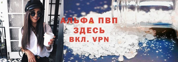 молекула духа Гусиноозёрск