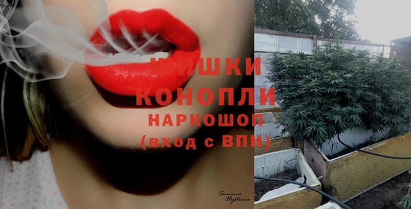 мяу мяу мука Гусев