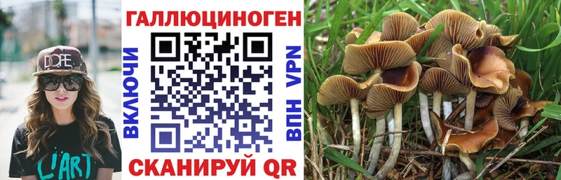 Галлюциногенные грибы GOLDEN TEACHER  купить  сайты  Вологда 